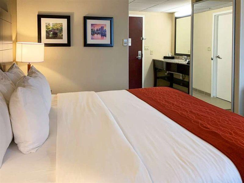 Comfort Inn & Suites East Hartford - Hartford Ngoại thất bức ảnh